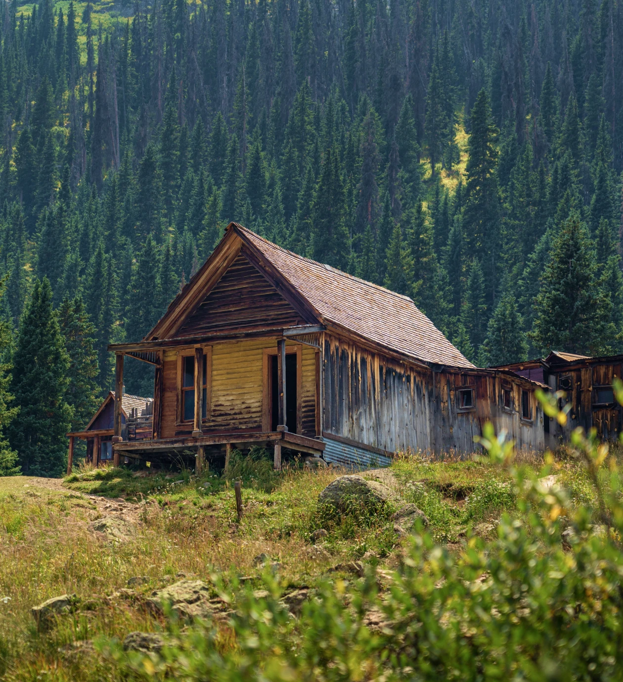 Rustic cabin surrounded by trees